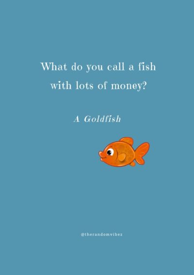 funny fish jokes