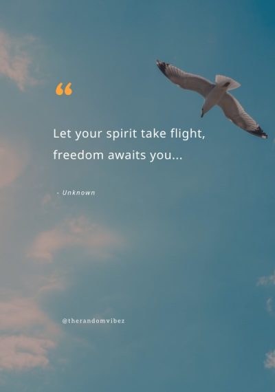 quotes on flying high