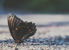 30 Good Things Take Time Quotes To Inspire You Stay Patient