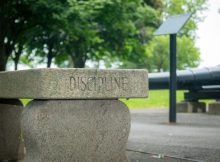 Best Discipline Quotes To Help You Build Self Control