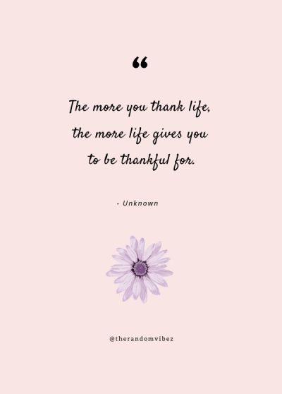 appreciation thank you quotes