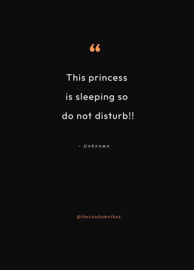 do not disturb quotes funny