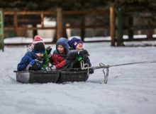 120 Funny Winter Quotes Enjoy The Cold Weather