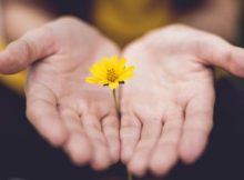 180 Helping Hand Quotes To Inspire You To Support Others