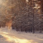 Winter Quotes To Celebrate The Beauty Of The Season