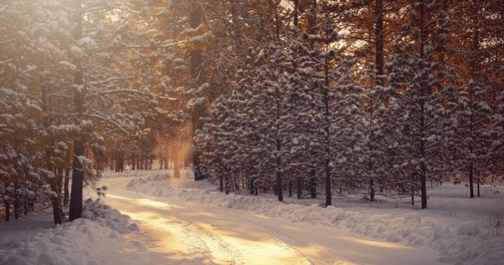 Winter Quotes To Celebrate The Beauty Of The Season