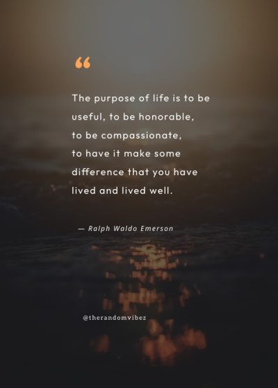 a life well lived quotes