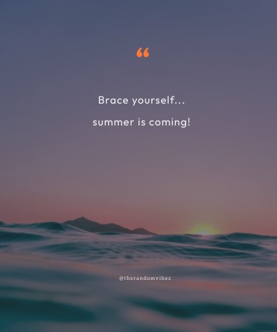 funny summer quotes