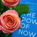 100 Best The Power of Now Quotes by Eckhart Tolle