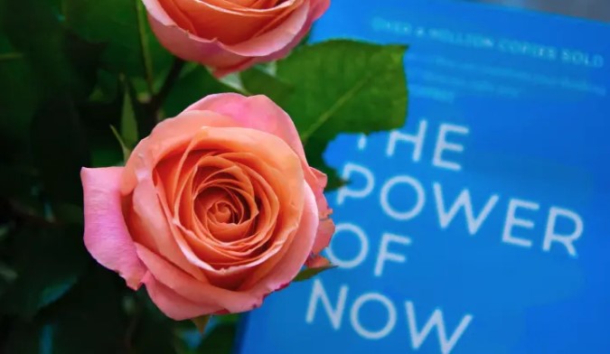 100 Best The Power of Now Quotes by Eckhart Tolle