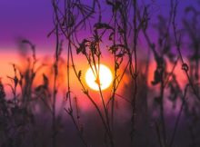 150 Thought Good Morning Quotes To Be Positive Everyday