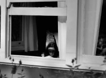 85 Emotional Abuse Quotes About Mental Abuse