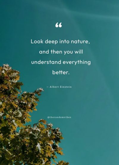 happy earth day quotes