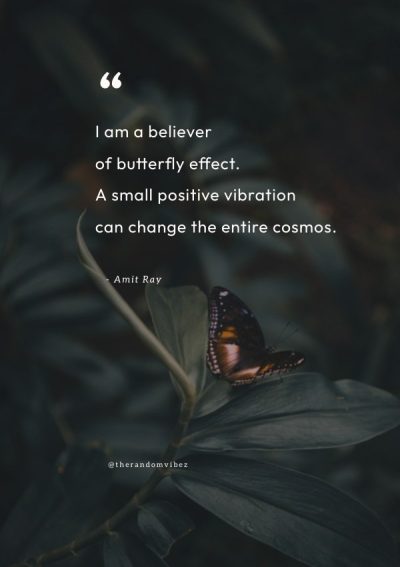 quotes about the butterfly effect