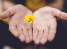 100 Power Of Positive Thinking Quotes To Inspire Positivity
