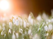 105 Fresh Start Quotes To Inspire New Beginnings