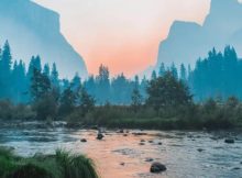 110 Positive Monday Quotes To Kickstart Your Week