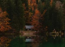 110 Short Fall Quotes For The Beautiful Autumn Season