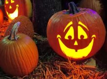 120 Pumpkin Jokes For Kids & Adults To Laugh On Halloween