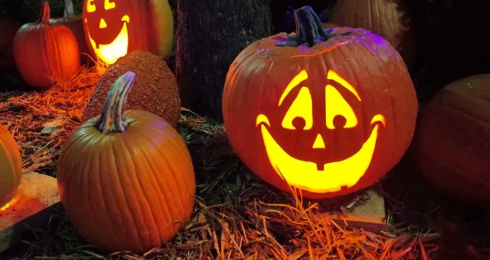 120 Pumpkin Jokes For Kids & Adults To Laugh On Halloween