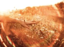 40 Divine Feminine Quotes To Awaken The Spiritual Power