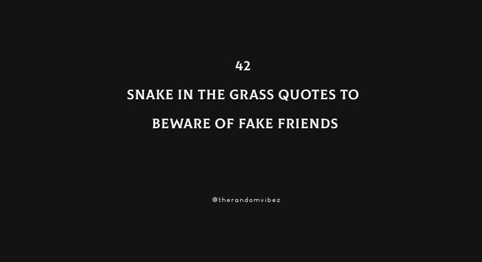 42 Snake In The Grass Quotes To Beware Of Fake Friends