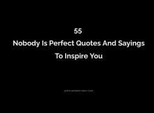 55 Nobody Is Perfect Quotes And Sayings To Inspire You