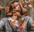 80 Fall Inspirational Quotes On Beauty Of Autumn Season
