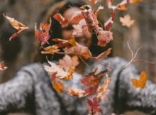 80 Fall Inspirational Quotes On Beauty Of Autumn Season