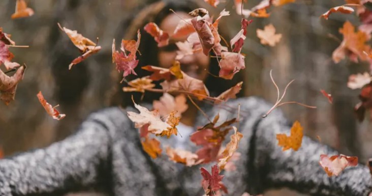 80 Fall Inspirational Quotes On Beauty Of Autumn Season