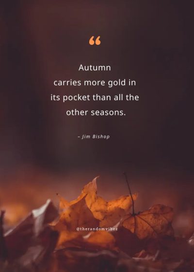 Best Fall Quotes Images