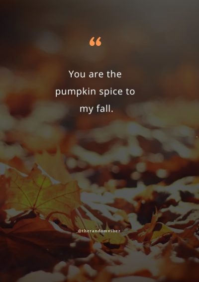 Sweet fall Quotes and sayings