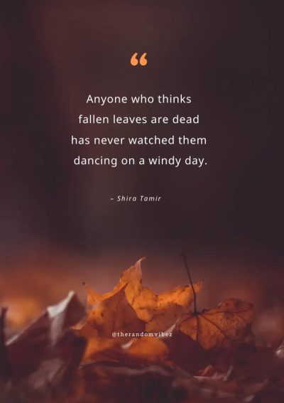 autumn leaves quotes