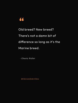 best chesty puller quotes