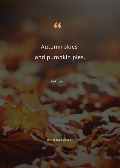 cute fall quotes autumn season