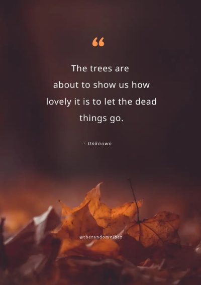 fall inspiration quote
