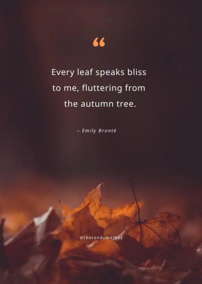 fall leaves quotes