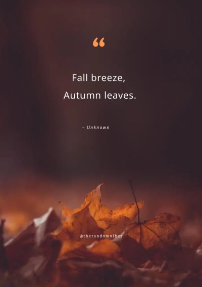 fall leaves quotes for Instagram