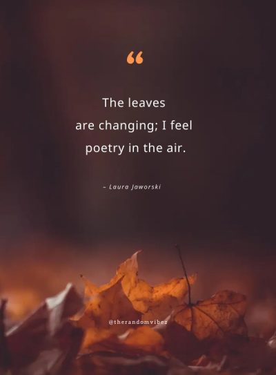 fall leaves quotes images