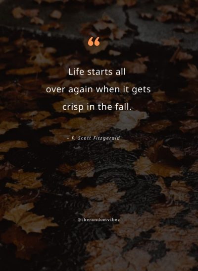 fall short quotes