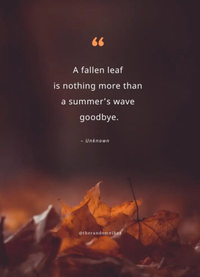 falling leaves quotes