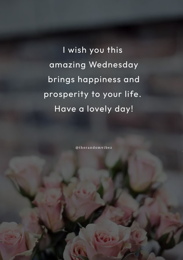 160 Happy Wednesday Images, Quotes And Morning Wishes 160 Happy Wednesday Images, Quotes And Morning Wishes