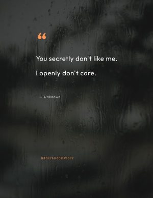 i don't care attitude quotes