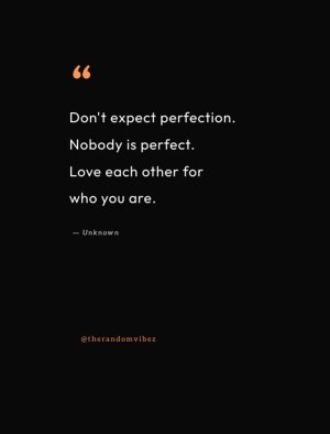 no one is perfect quotes images