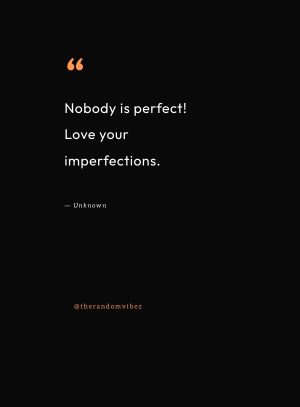 nobody is perfect quotes