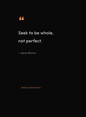 quote no one is perfect