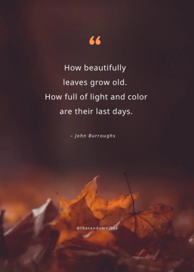 quotes about fall leaves