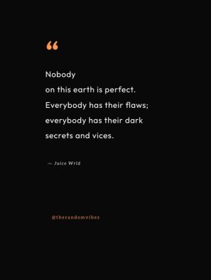 quotes about nobody is perfect