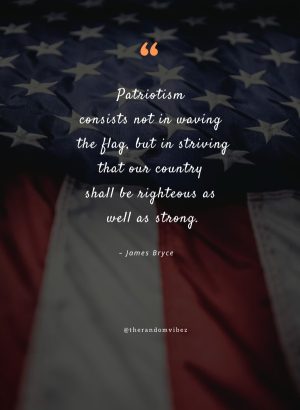 quotes for flag day