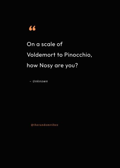 sarcastic nosey people quotes